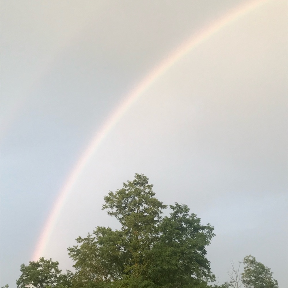 Meet your Posher, Sharon